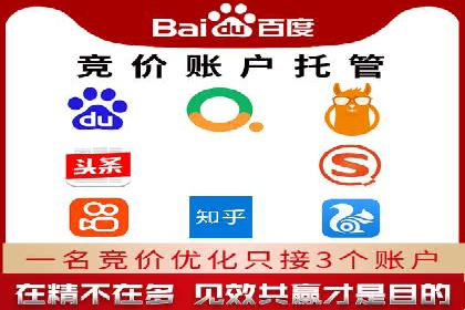 SEM推广与竞价代运营结合的实战案例分析